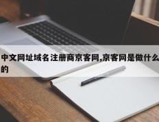 中文网址域名注册商京客网,京客网是做什么的