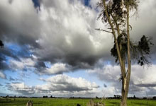 百度域名注册官网入口,百度域名查询官网