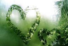 域名注册证书怎么查询系统,域名注册证书是什么