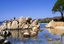 怎么查询域名注册信息,如何查询已注册域名