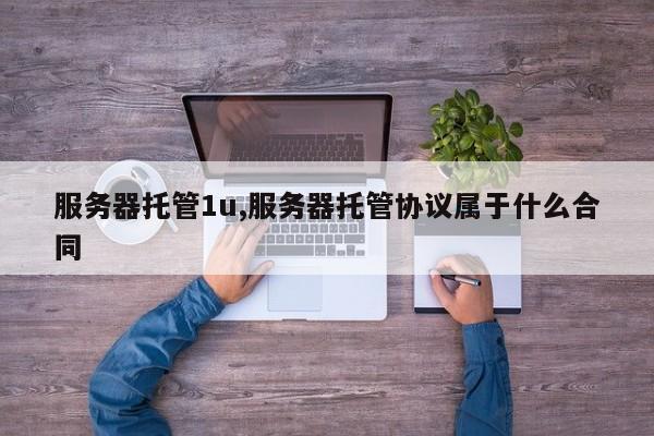 服务器托管1u,服务器托管协议属于什么合同